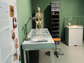 Photographie d'un laboratoire d'anthropologie